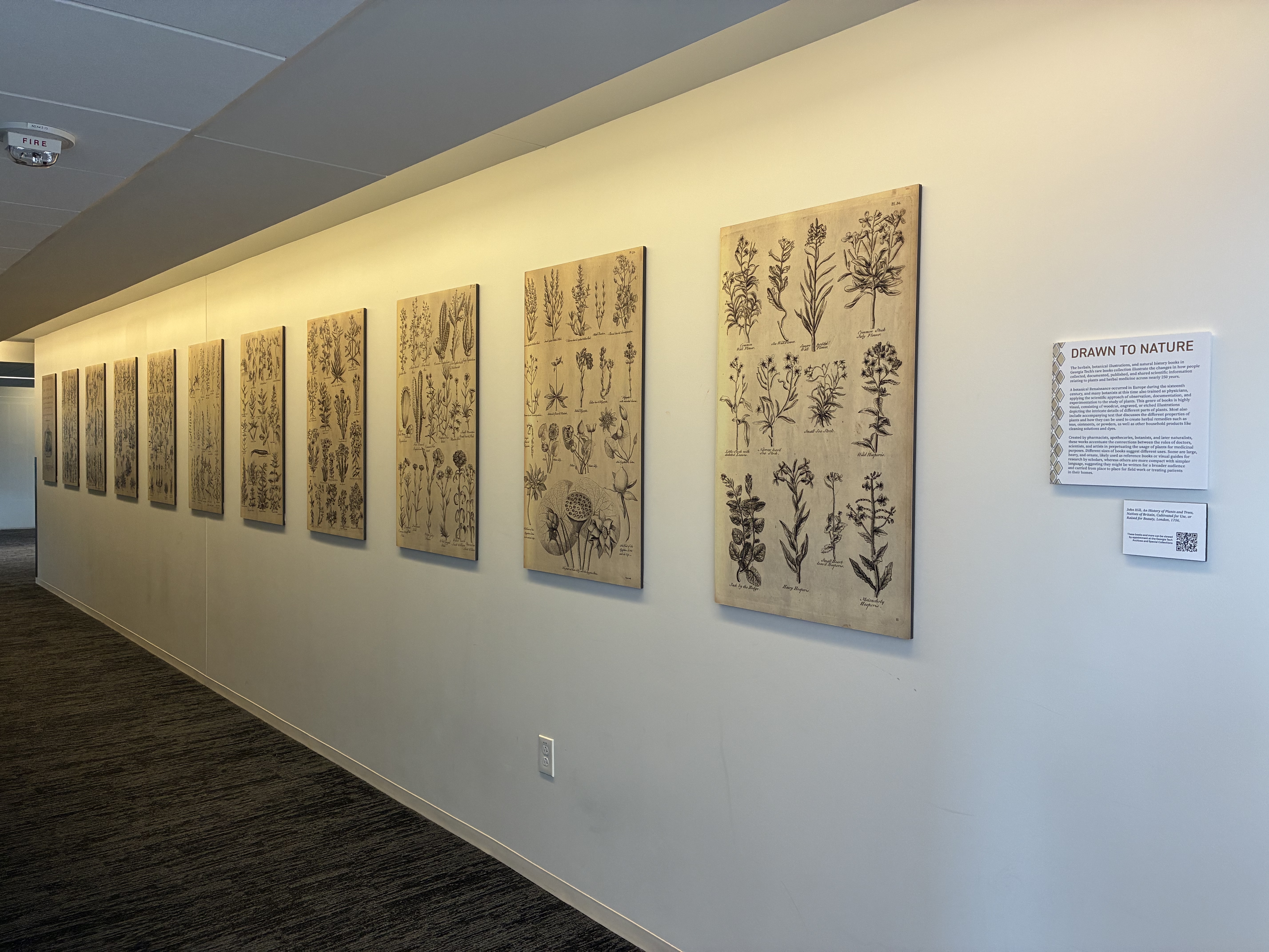 Drawn to Nature Exhibit