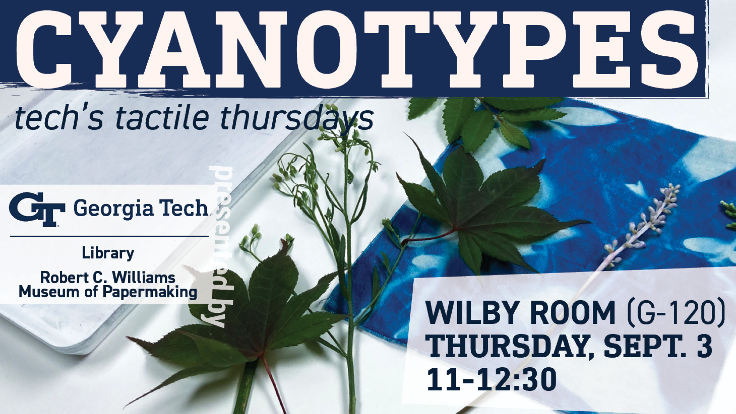 Cynanotypes_26.png