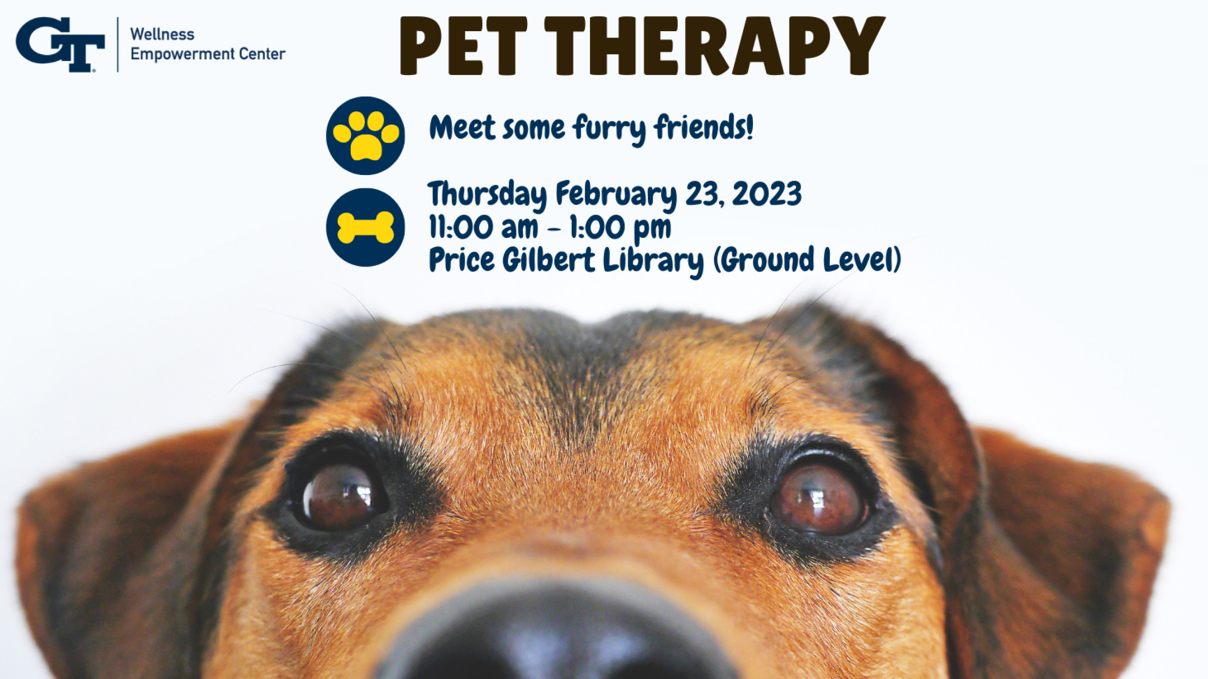 Pet Therapy