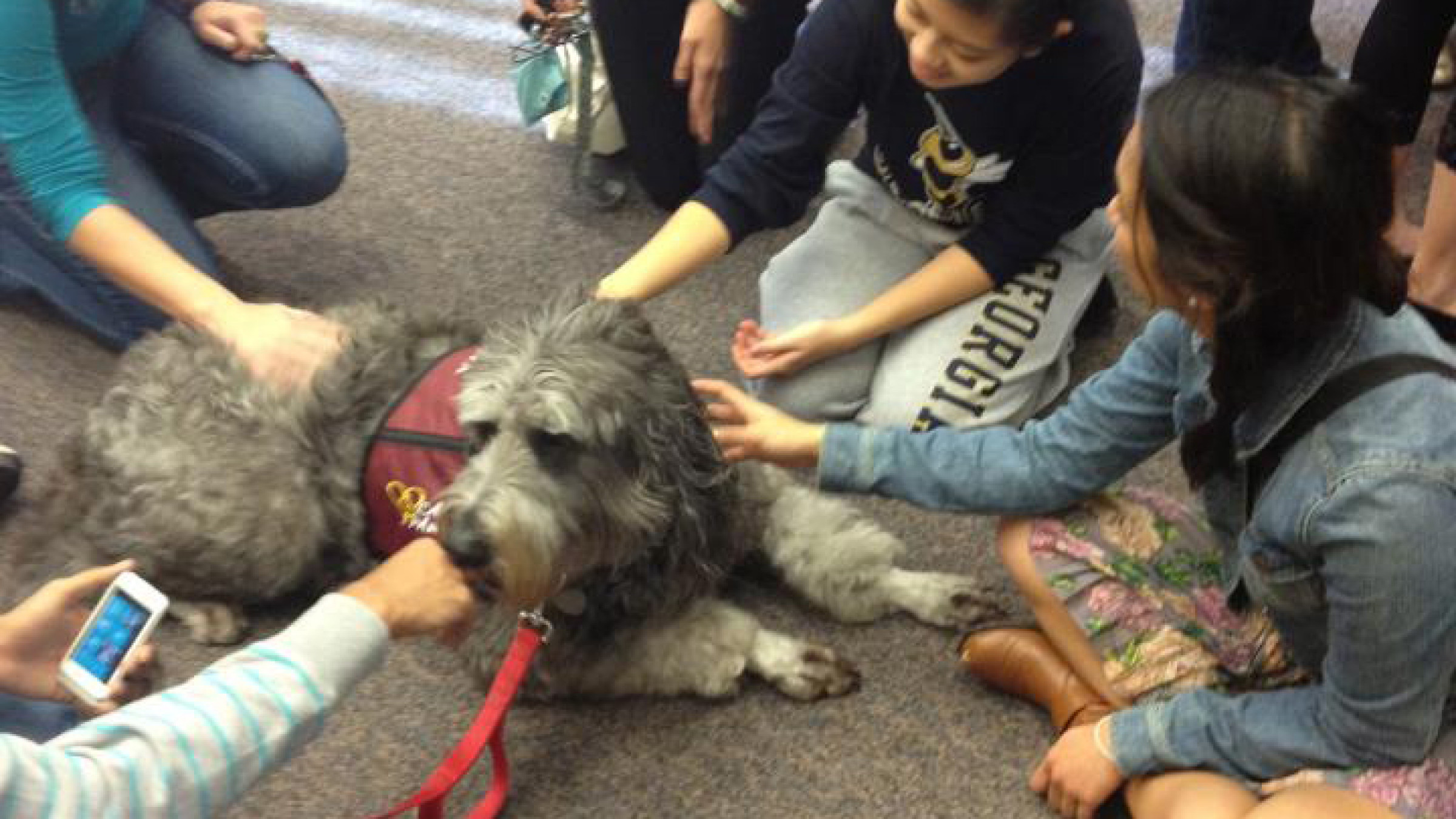 Therapy Dogs Visit Students at the Library