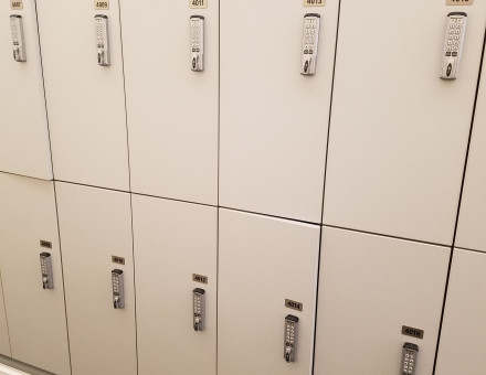 Locker Mid Size